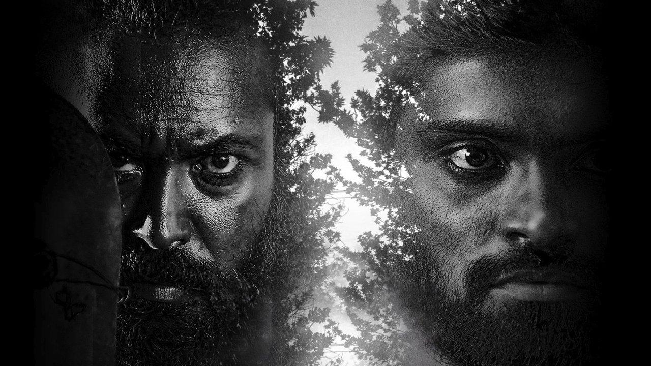 Red Sandal Wood backdrop