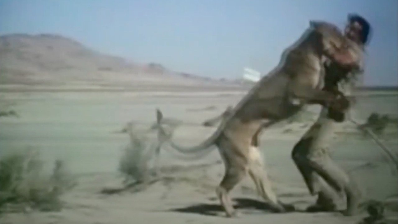 Escape from Angola backdrop