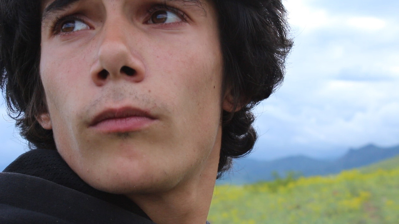 I Have No Wings backdrop