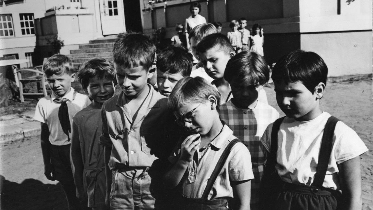 In Search of the Magical Bird backdrop