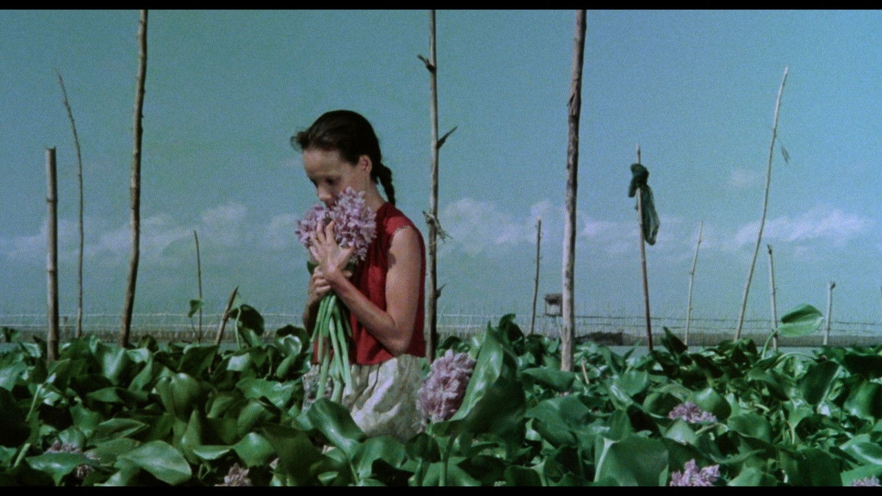 A Speck in the Water backdrop