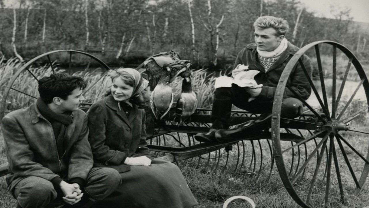 Jul i Skovridergaarden backdrop