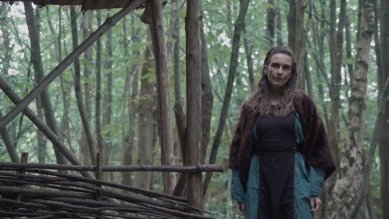 Vikings: Blood Lust backdrop