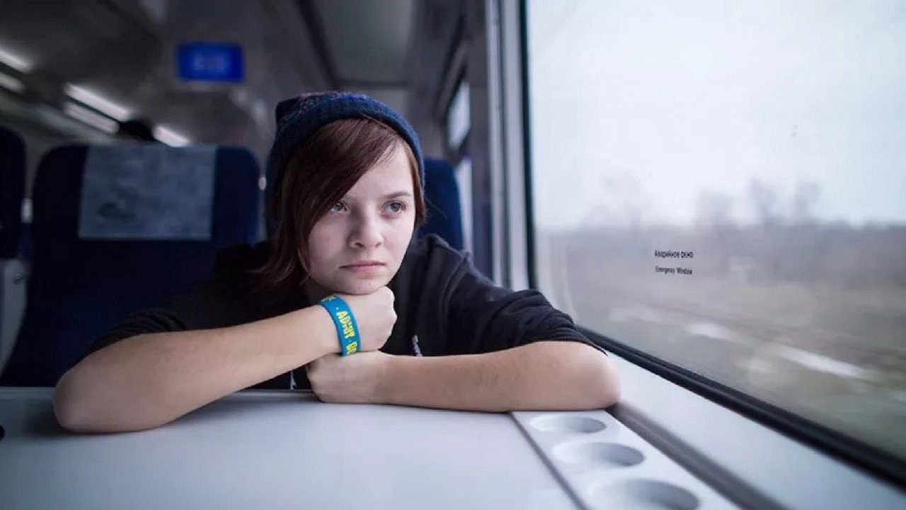 The View From The Window backdrop