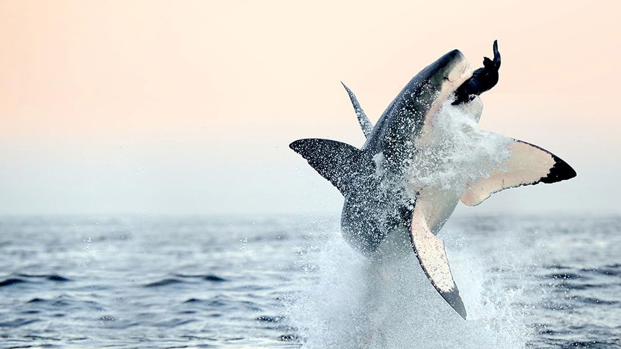 Air Jaws: Back From The Dead backdrop