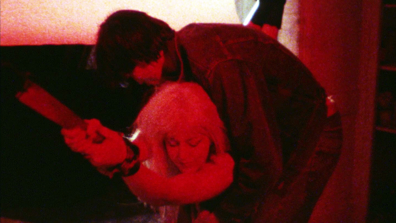 The Evil Cameraman backdrop