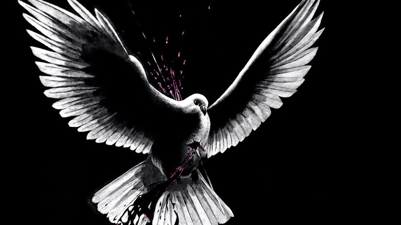 Love Point Blank backdrop