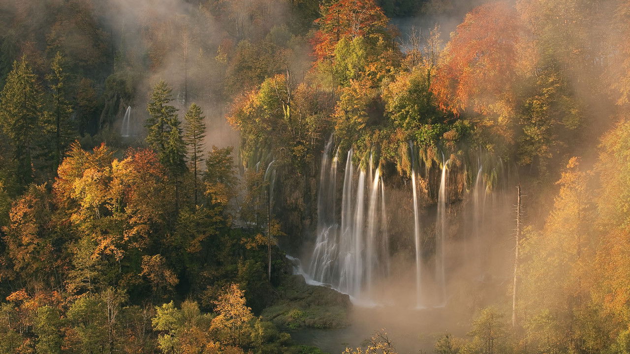 Wild Europe backdrop