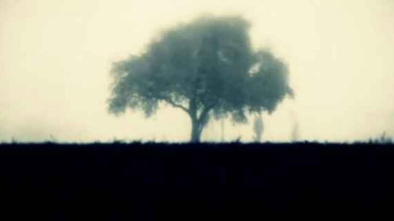 Burning of the Red Lotus Monastery backdrop