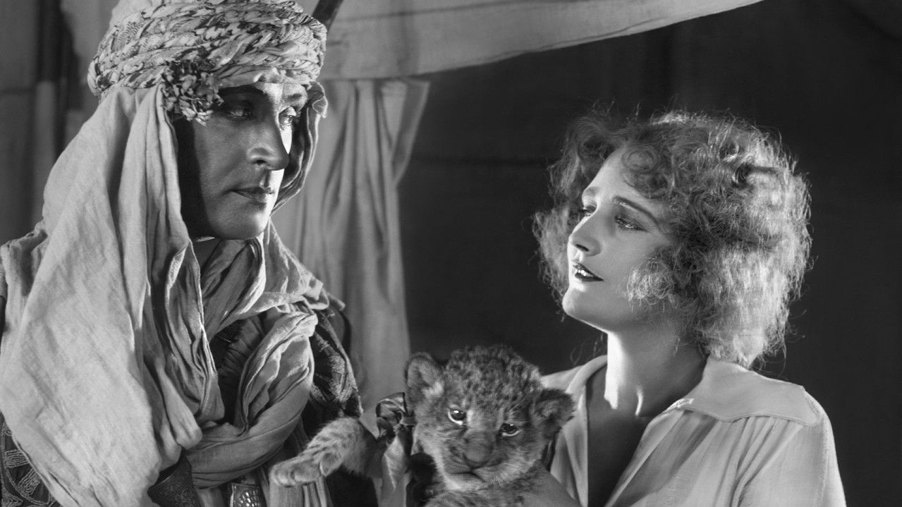 Wüstenrausch backdrop