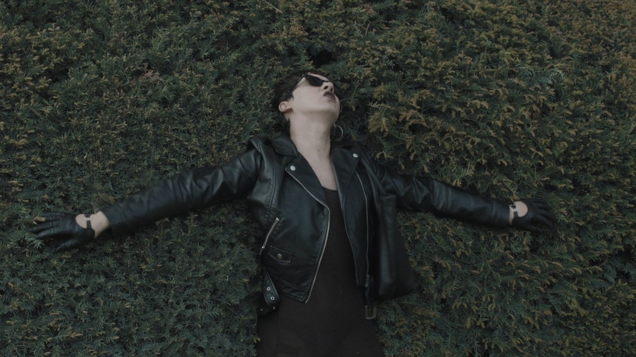 The Devil's Magnificent backdrop