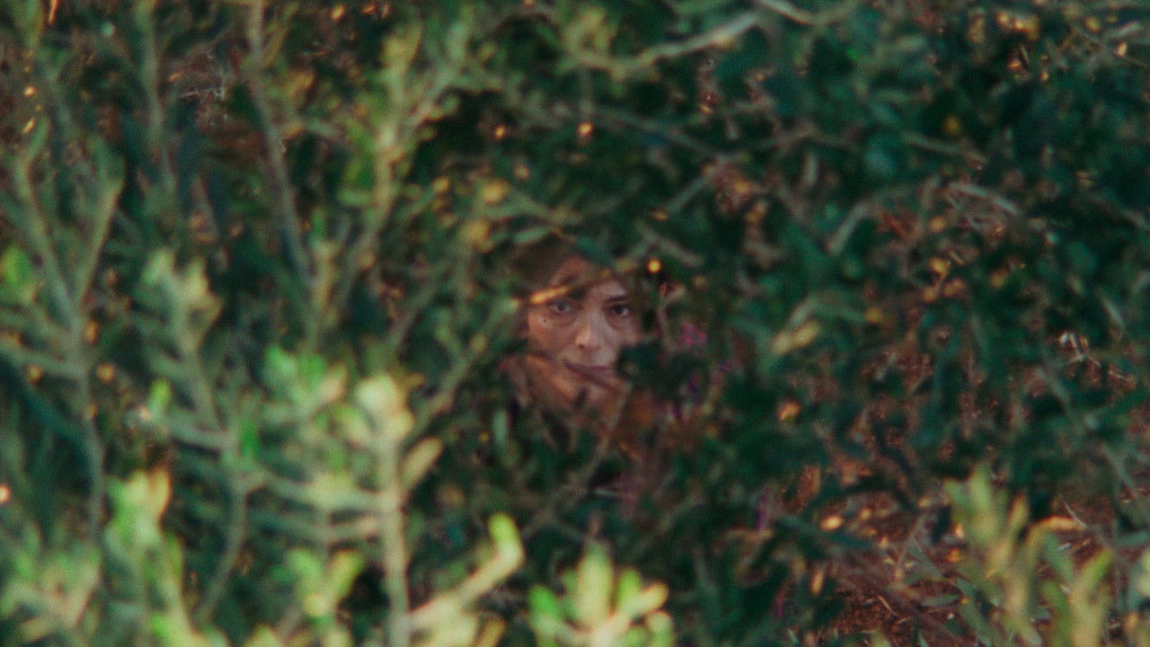 The Heavens backdrop