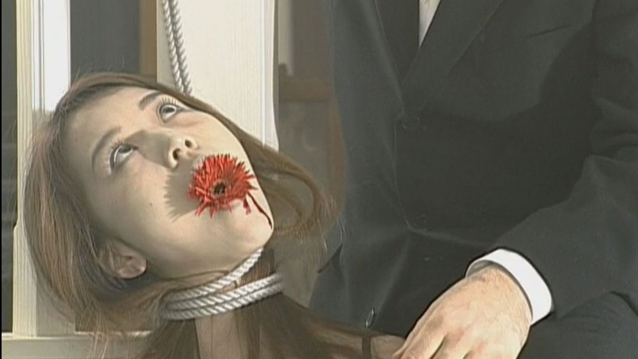 Vermilion Pleasure Night: The Color of Life backdrop