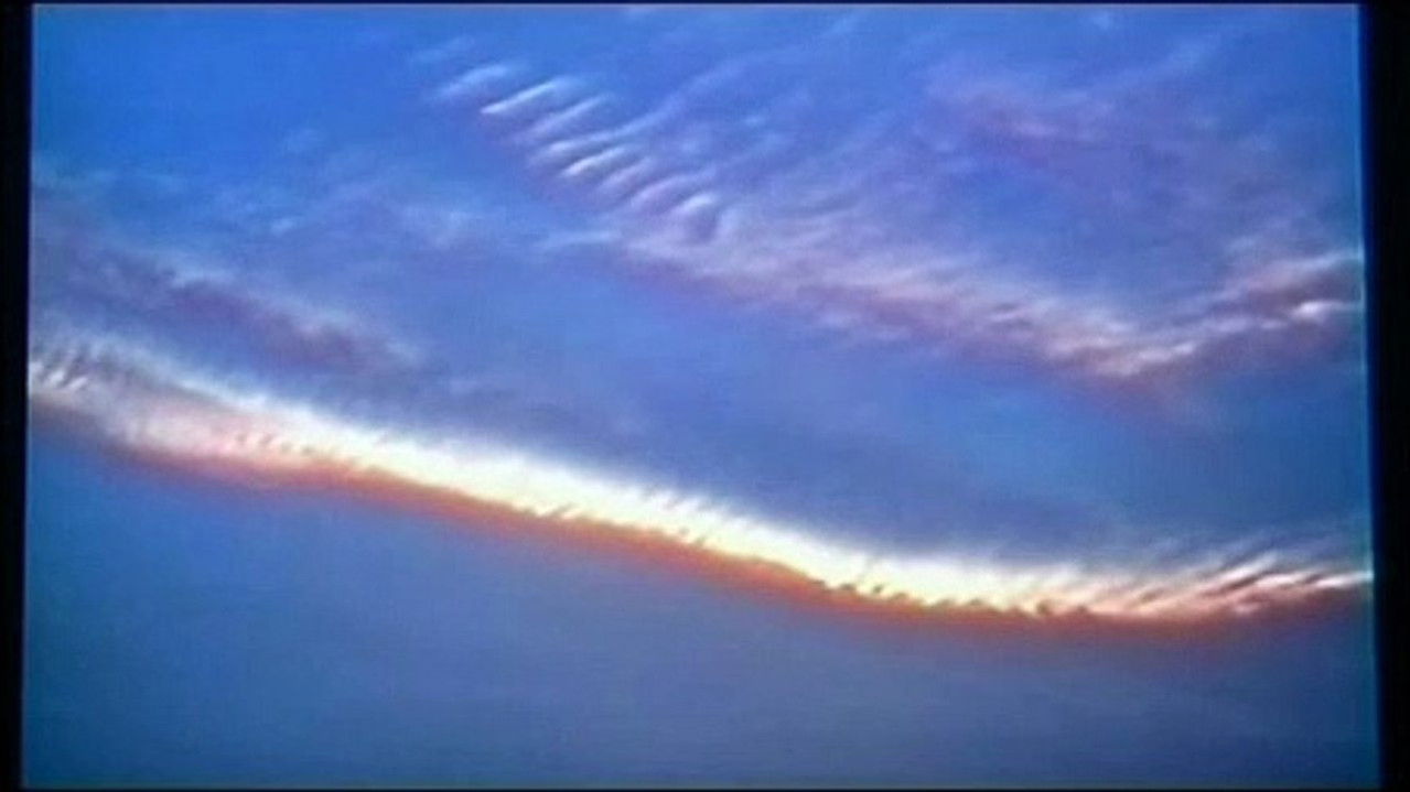 A Springtime Morning backdrop