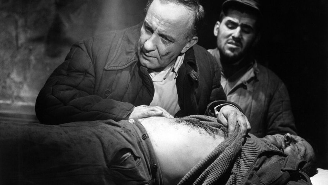 The Doctor of Stalingrad backdrop