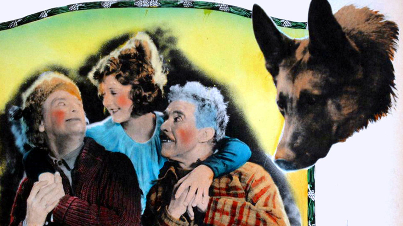 The Love Master backdrop