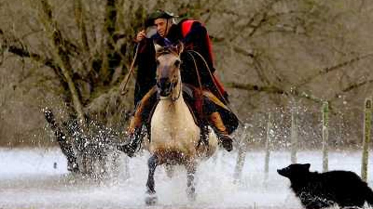 Bravos valentes: Vaqueiros do Brasil backdrop