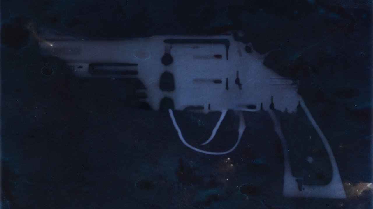 Operation Undercover: Guns & Drugs in Carolina backdrop