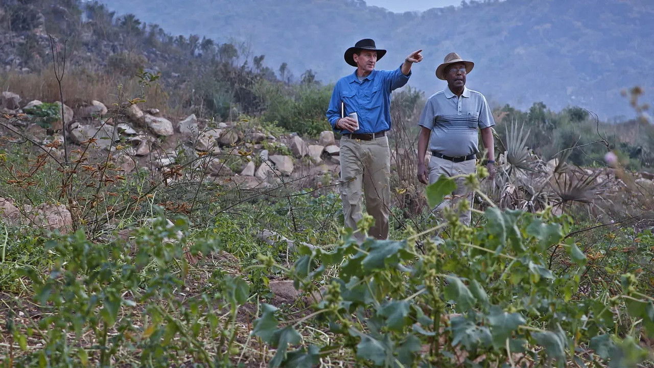 Switch On: The Series backdrop