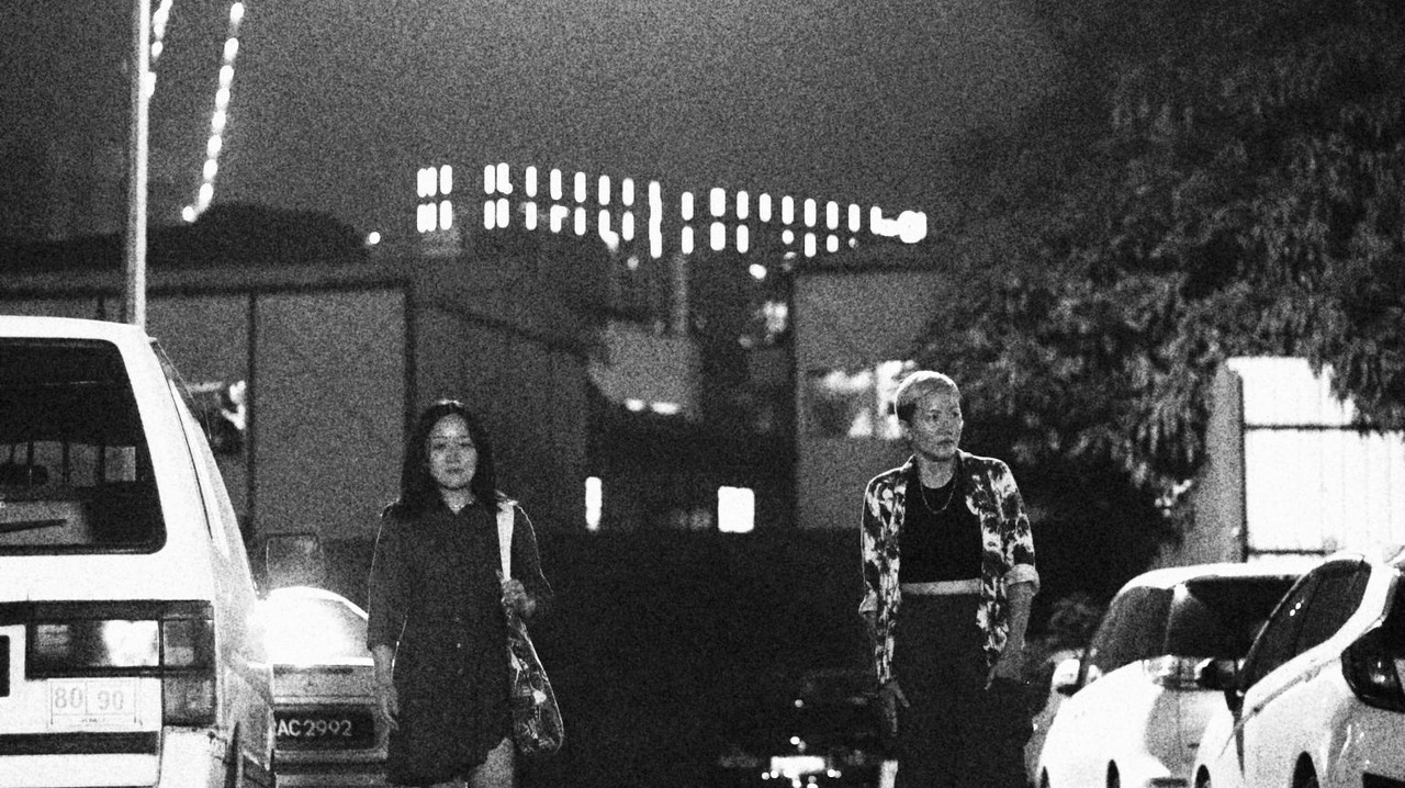 We Are The Jungle backdrop