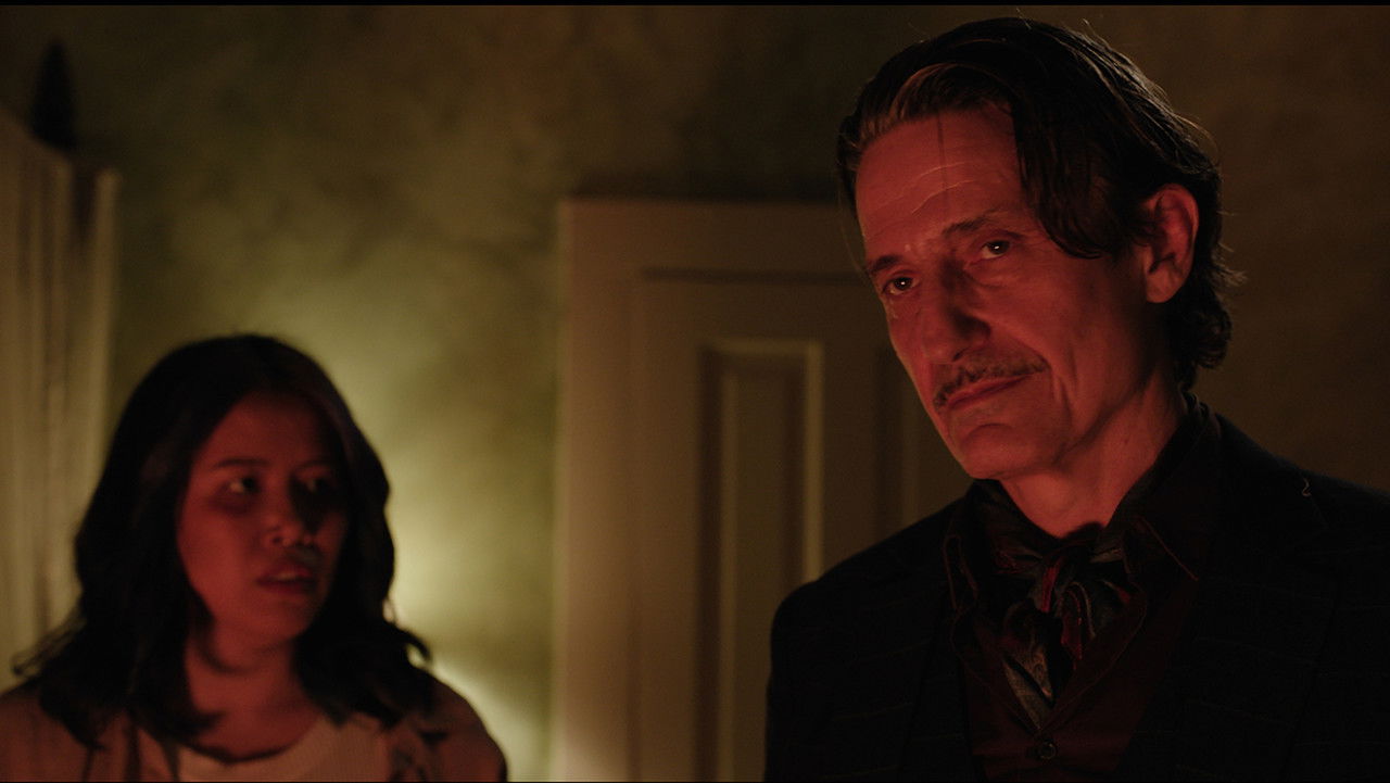 swallows燕子 backdrop