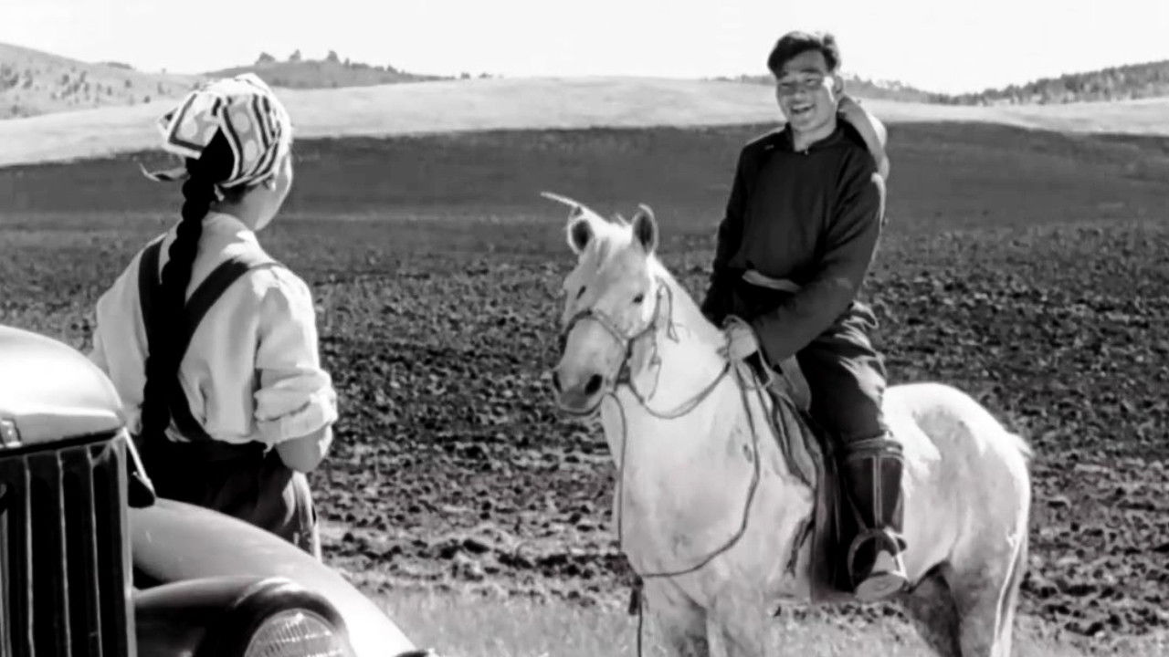 Wish I Had a Horse backdrop