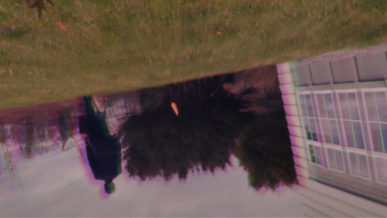 Honeydew Sexdream backdrop