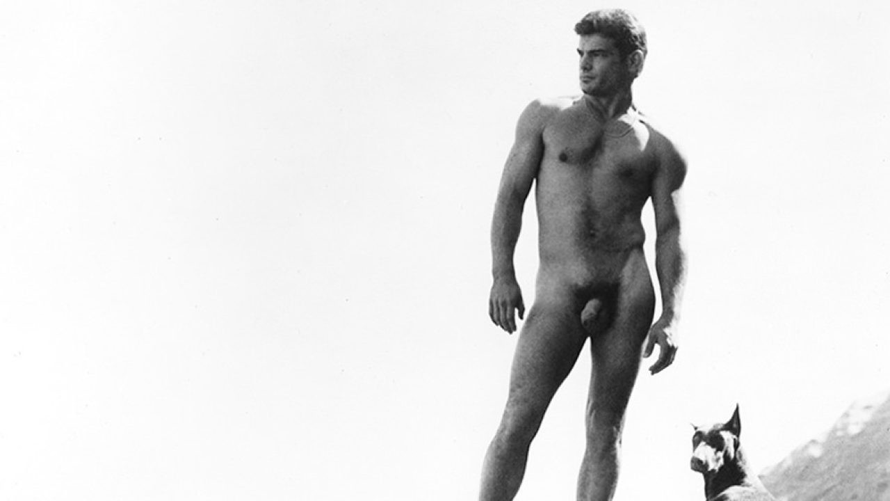 Rip Colt's Sex Rated Home Movies 2 backdrop