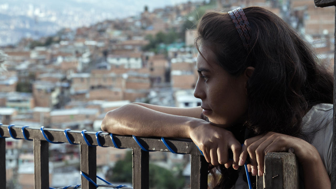 The Animal's Wife backdrop