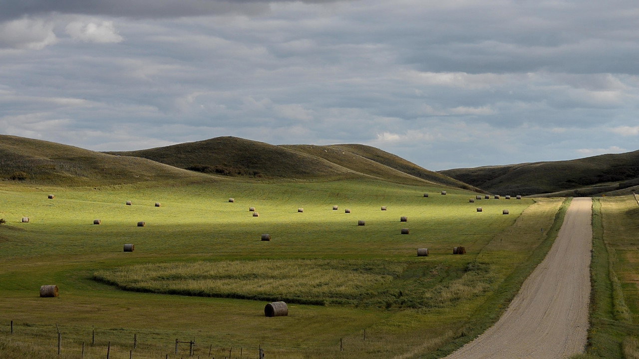 The Musical Republic of Western Canada backdrop