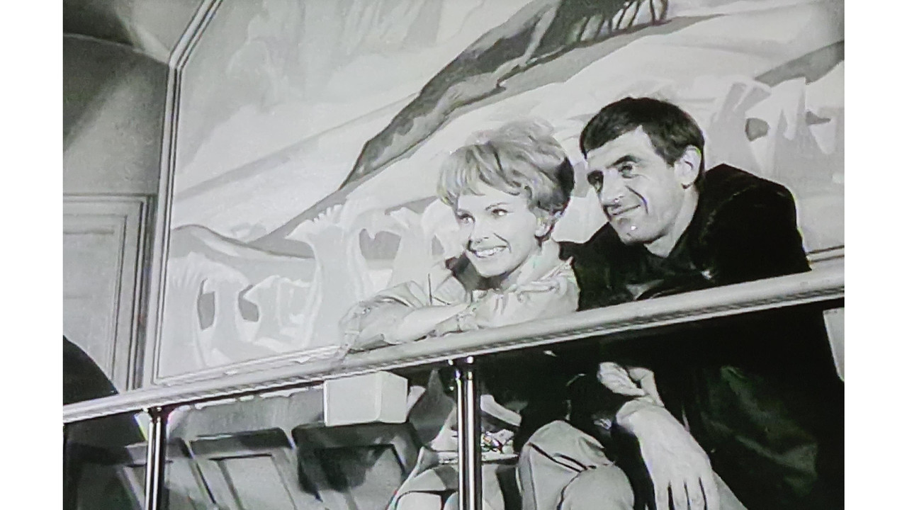 Är du inte riktigt klok? backdrop