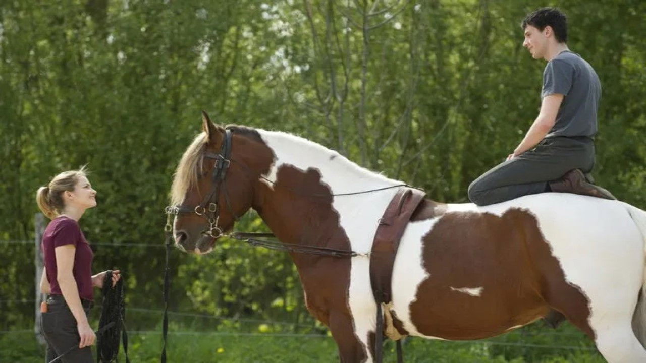 Falling for Love backdrop