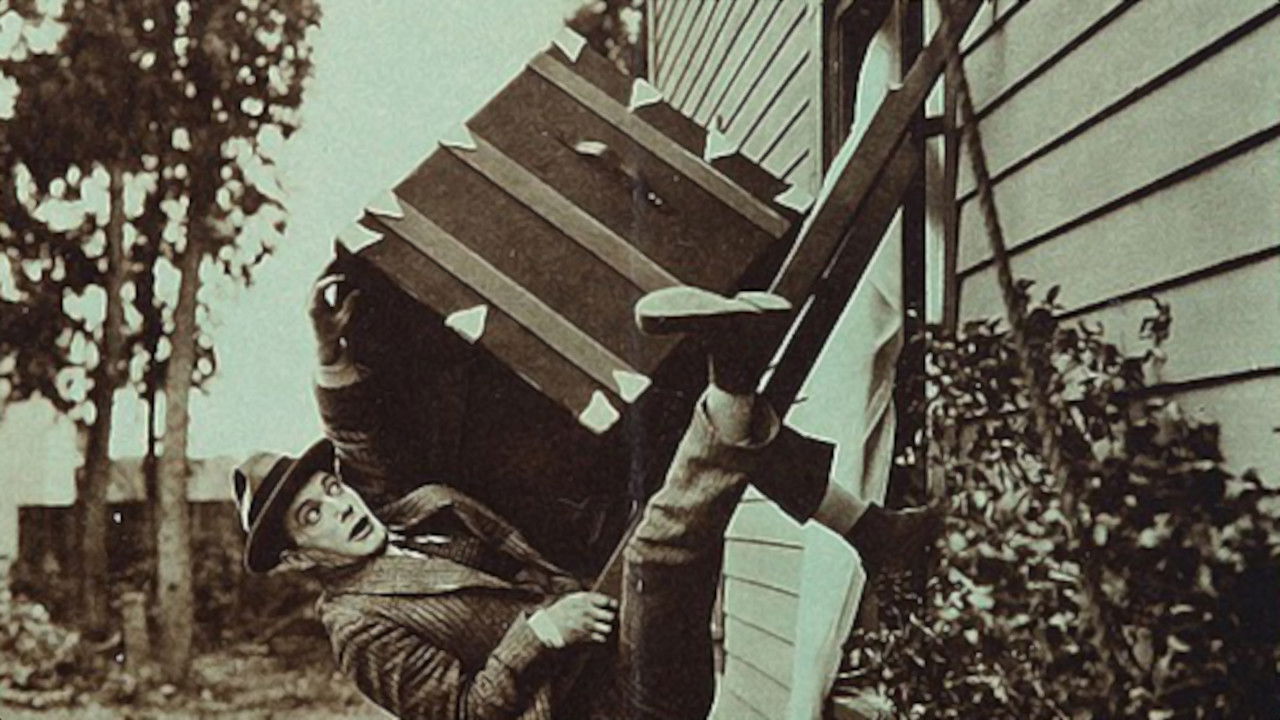 Dynamite Doggie backdrop