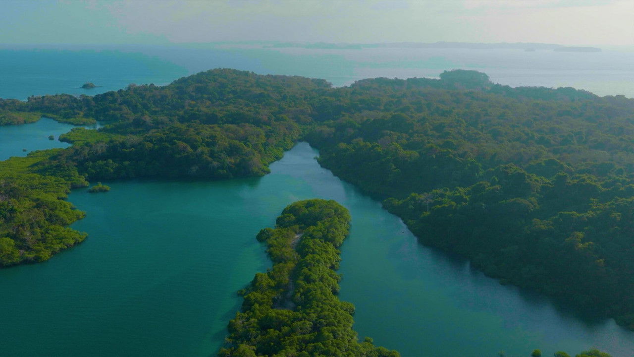 Survivor Québec backdrop