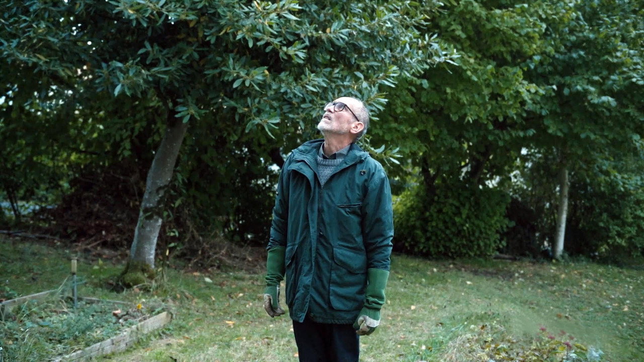 Back Before 3 P.M. backdrop