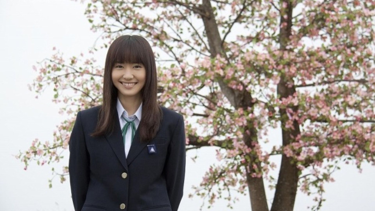 Dogwood Tree backdrop