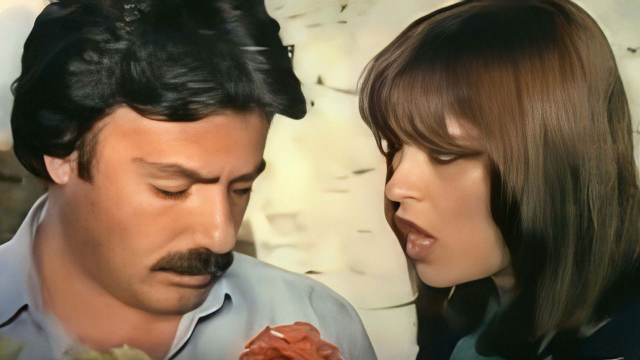 Olmaz Olsun backdrop