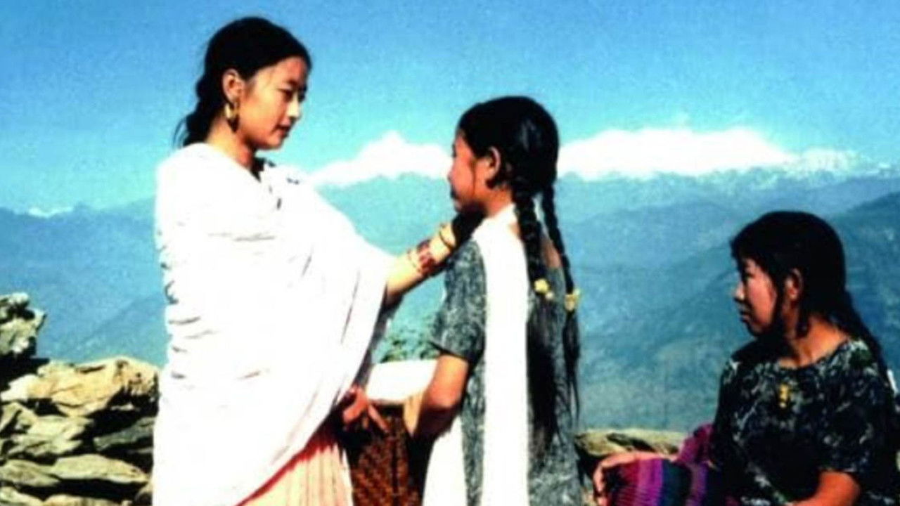 A Beautiful Flower backdrop