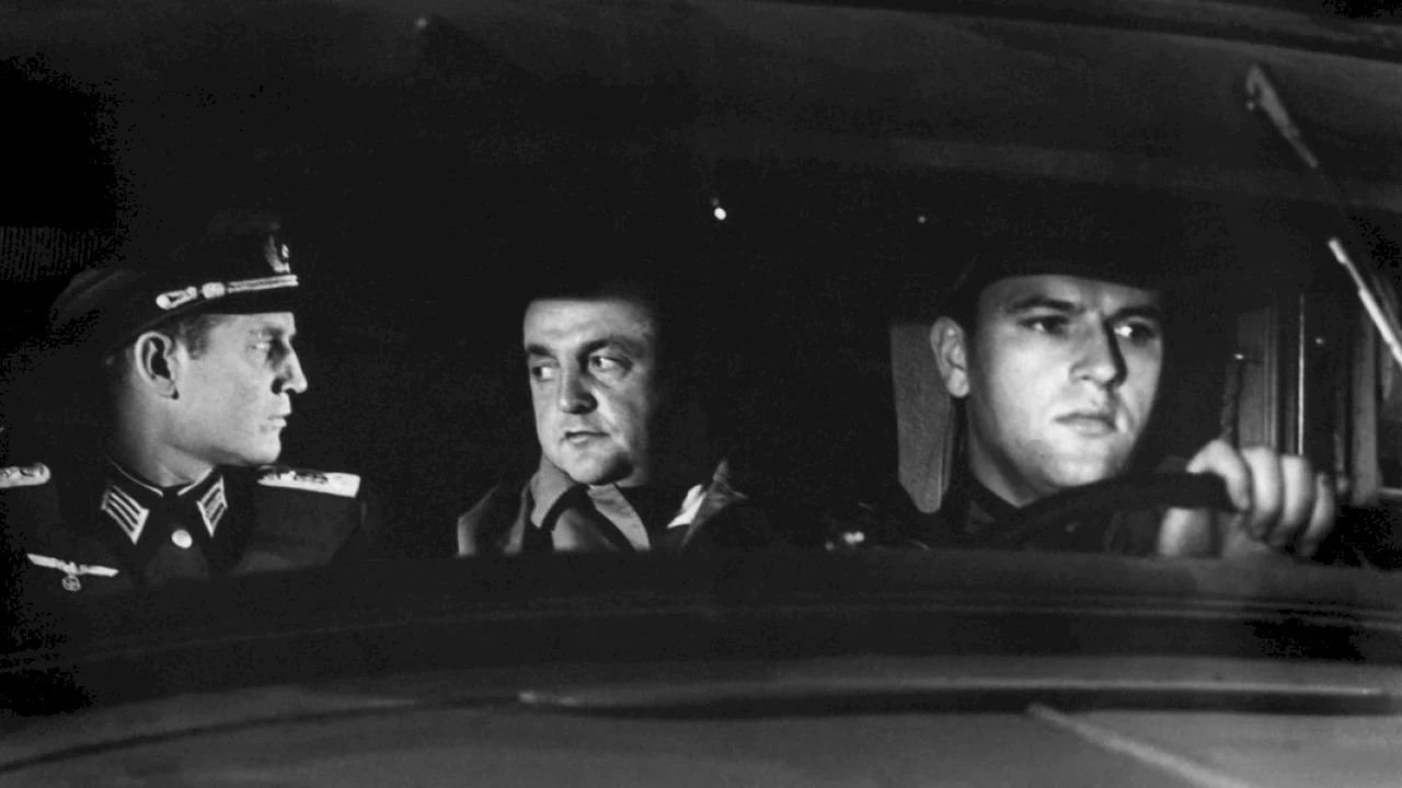 Women and War backdrop