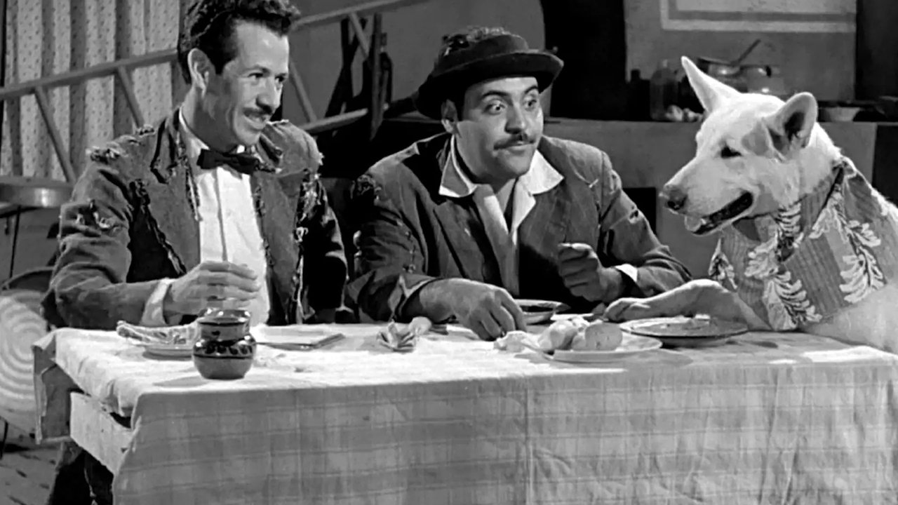 Qué perra vida backdrop