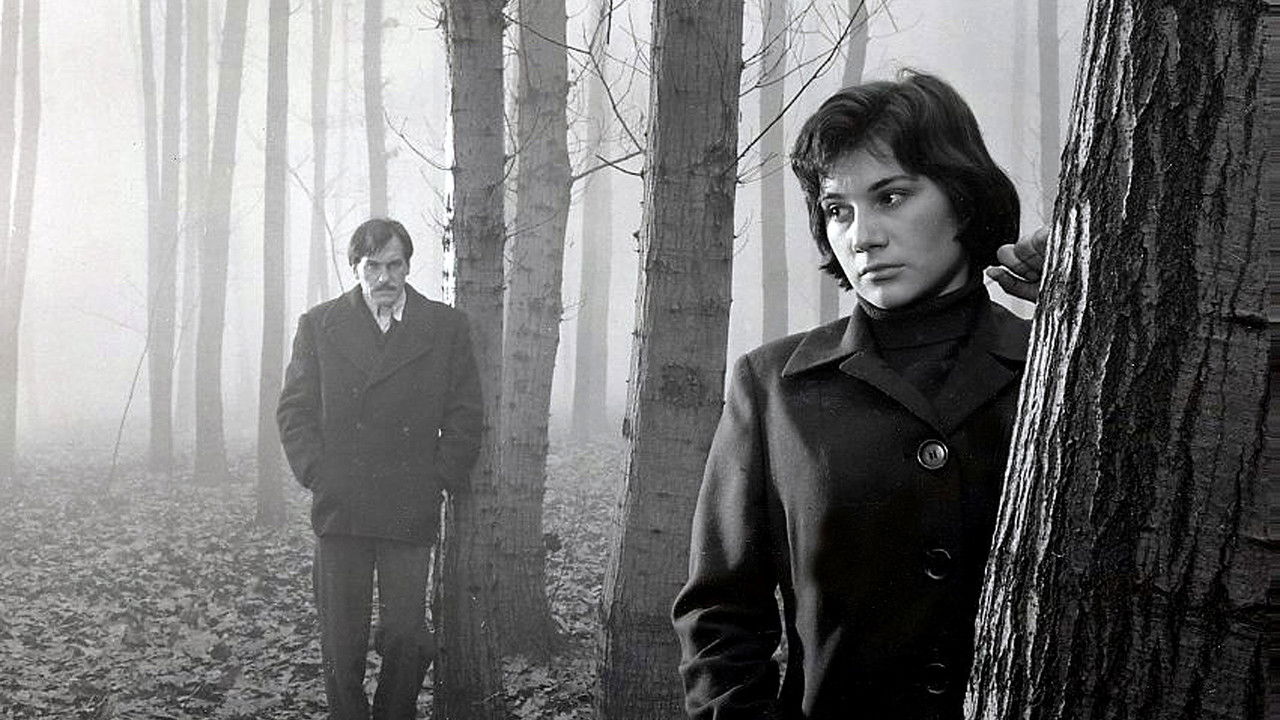 We Were Young backdrop