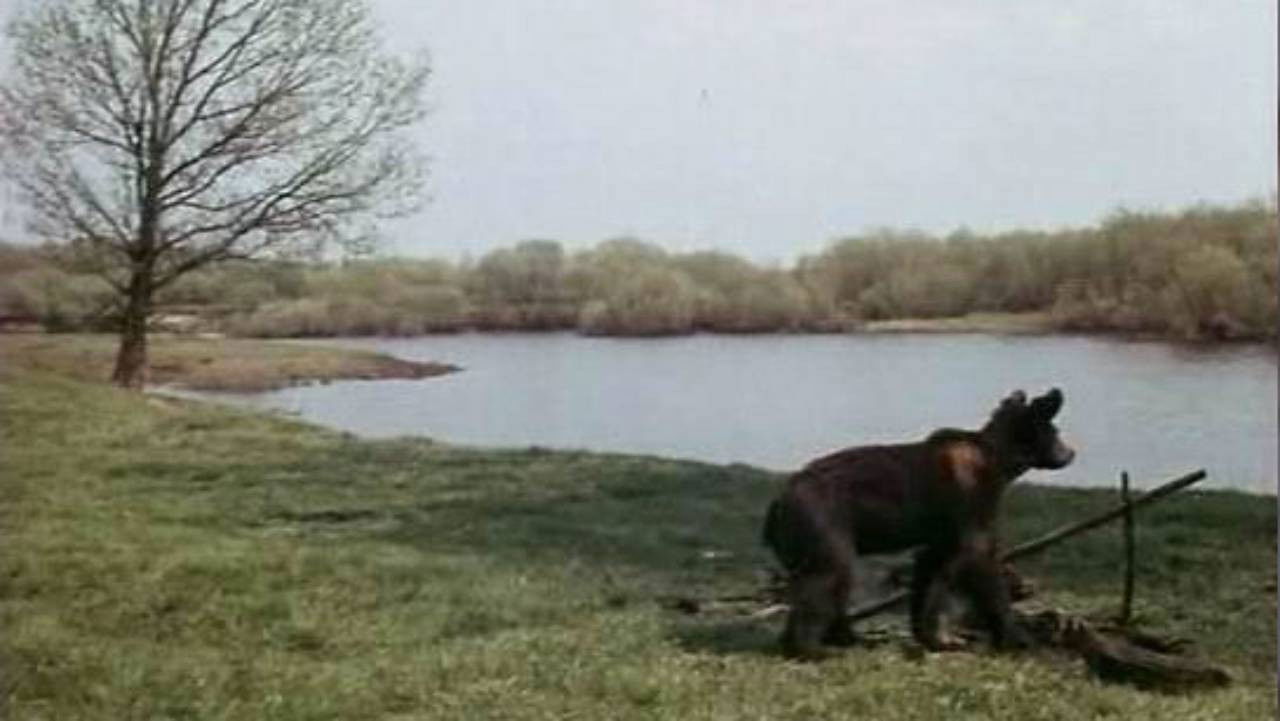 Little Bear, Baby and Others backdrop