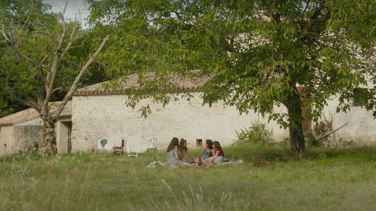 Instantànies backdrop