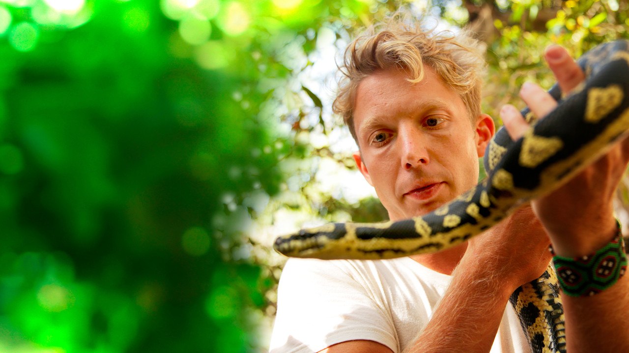 Fearless Adventures with Jack Randall backdrop