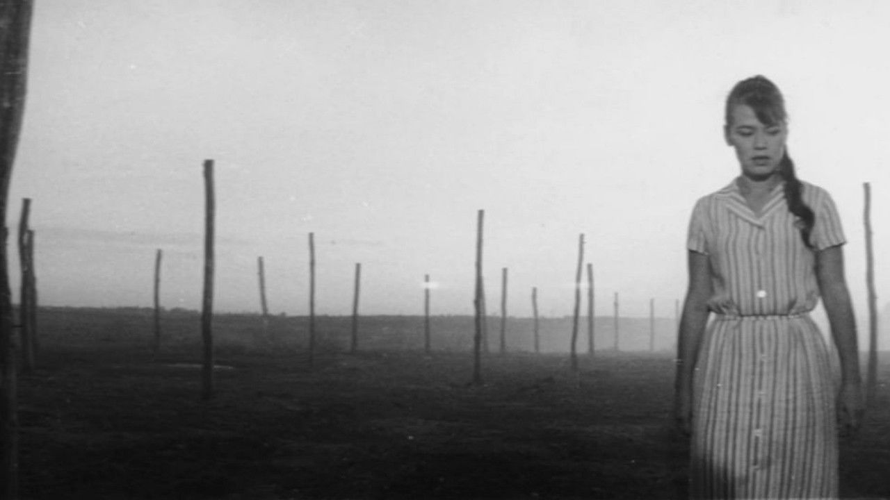 Extra Grain backdrop