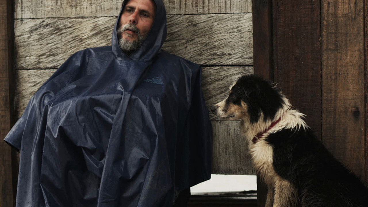 Chasing Fireflies backdrop