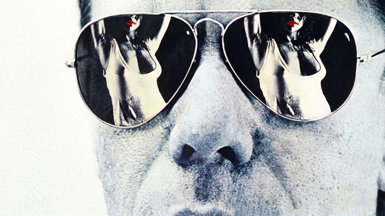 Corpo Santo backdrop