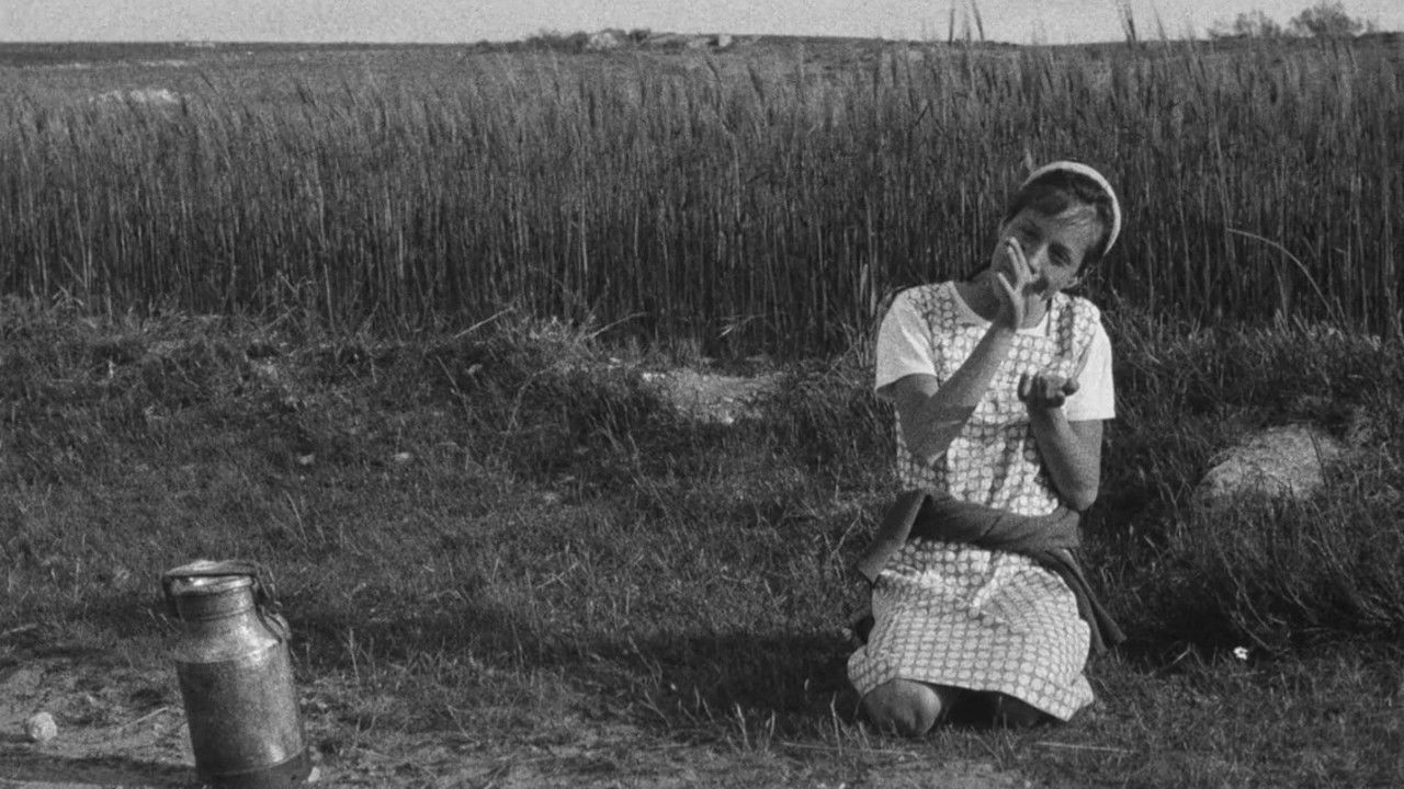 Berta's Motives backdrop