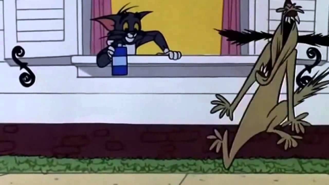 Purr-Chance to Dream backdrop