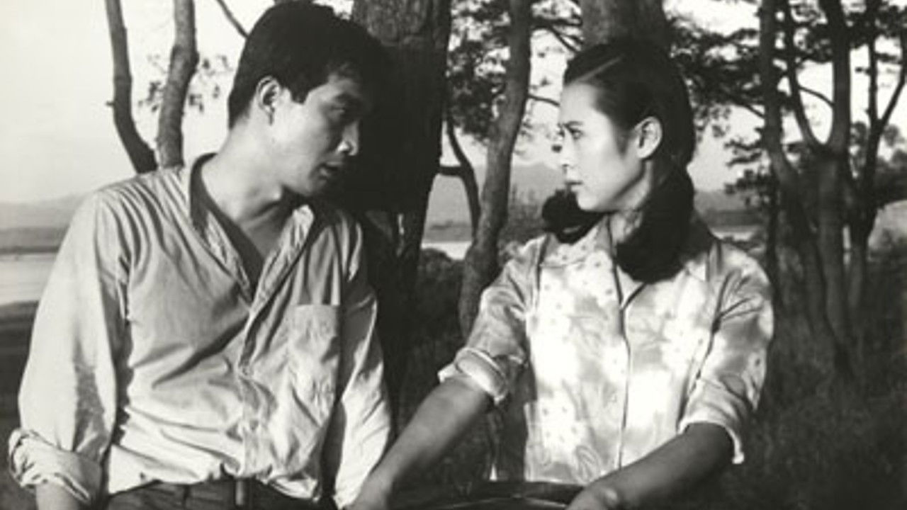 Sound of Magpies backdrop